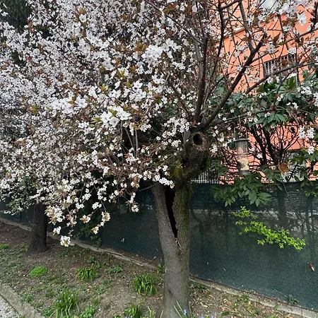 Apartmán Tamburini 38 Vintage Near Center, Parking Included Modena